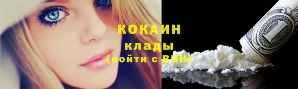 мяу мяу мука Ростов