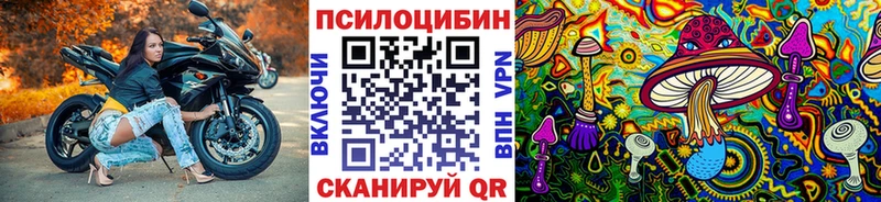 MEGA tor  Богданович  Псилоцибиновые грибы прущие грибы 