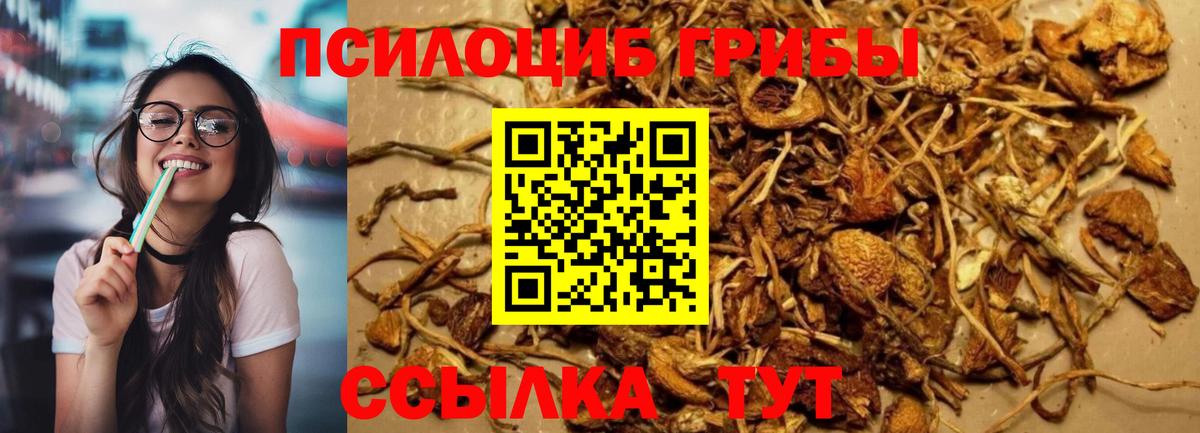 Галлюциногенные грибы мухоморы Богданович